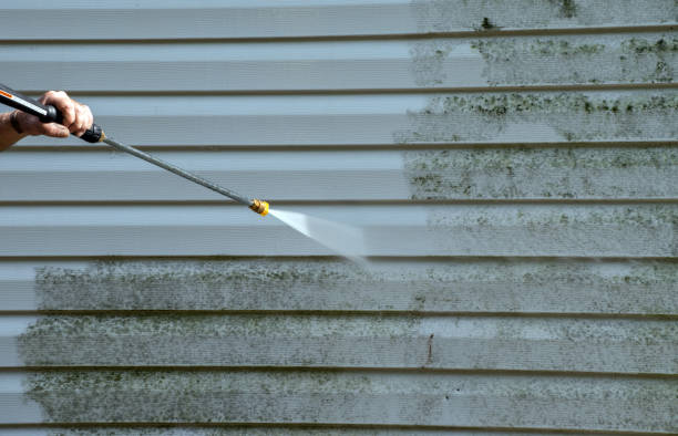 Best Deck Cleaning Services  in Aurora, MN