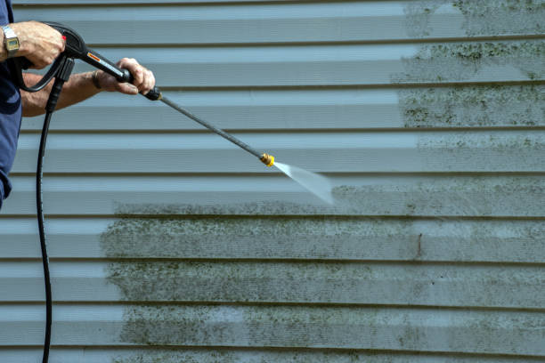 Best Roof Power Washing Services  in Aurora, MN
